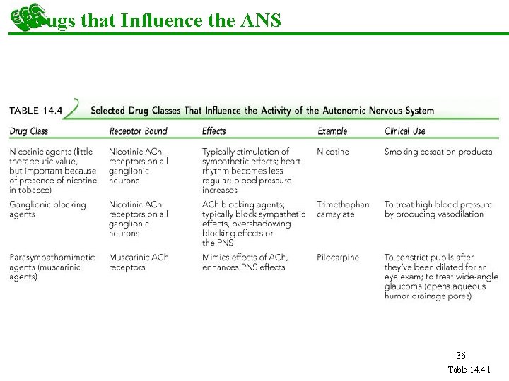 Drugs that Influence the ANS 36 Table 14. 4. 1 