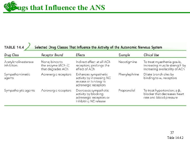 Drugs that Influence the ANS 37 Table 14. 4. 2 