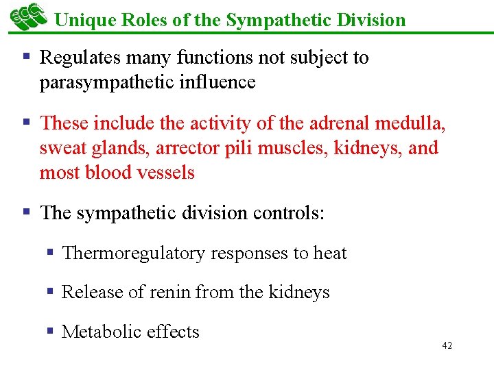 Unique Roles of the Sympathetic Division § Regulates many functions not subject to parasympathetic