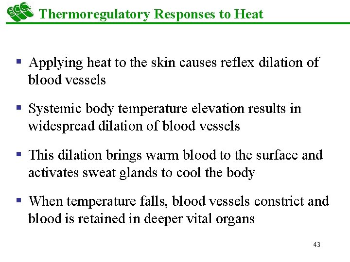Thermoregulatory Responses to Heat § Applying heat to the skin causes reflex dilation of