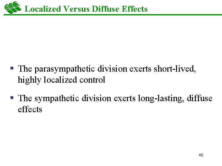 Localized Versus Diffuse Effects § The parasympathetic division exerts short-lived, highly localized control §