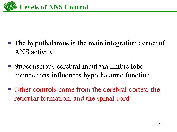 Levels of ANS Control § The hypothalamus is the main integration center of ANS