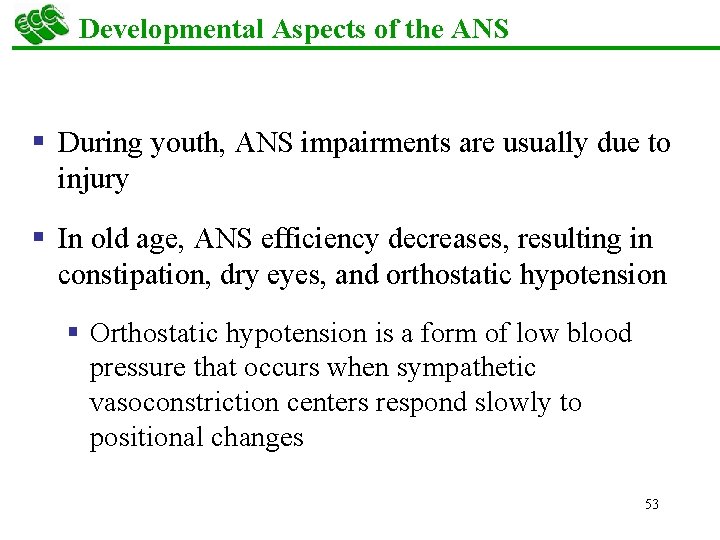 Developmental Aspects of the ANS § During youth, ANS impairments are usually due to