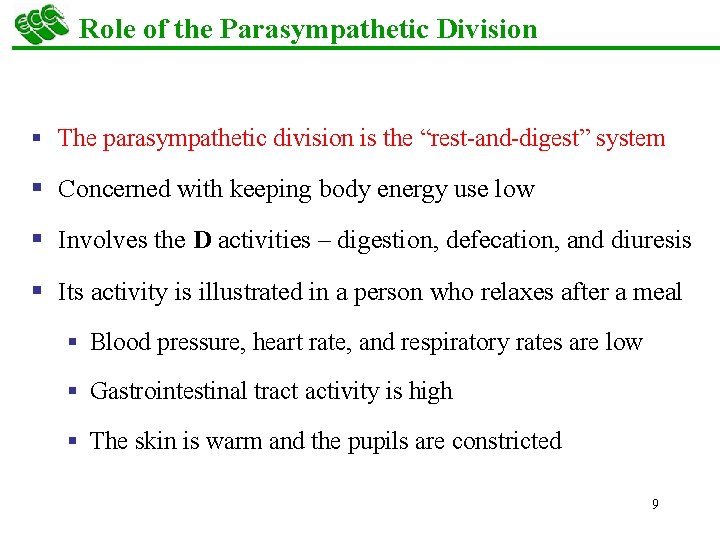 Role of the Parasympathetic Division § The parasympathetic division is the “rest-and-digest” system §