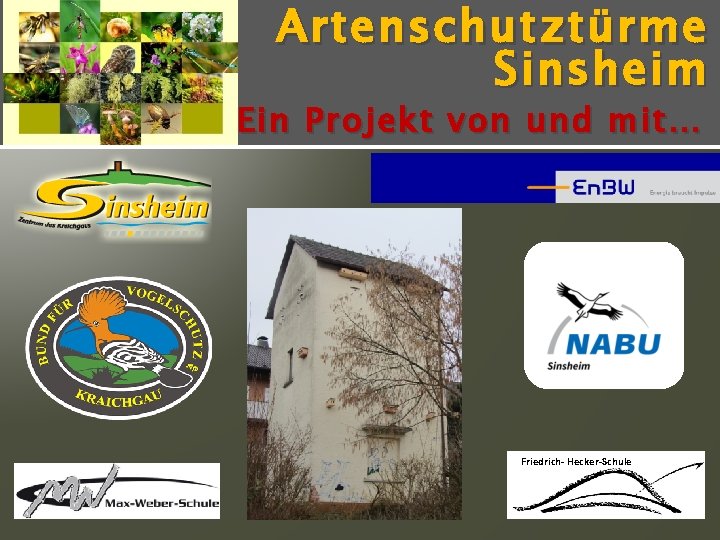 Artenschutz türme Sinsheim Ein Projekt von und mit… Friedrich- Hecker-Schule 