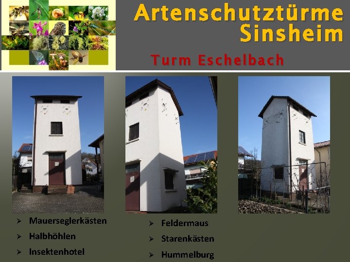 Artenschutz türme Sinsheim Turm Eschelbach Ø Mauerseglerkästen Ø Feldermaus Ø Halbhöhlen Ø Starenkästen Ø