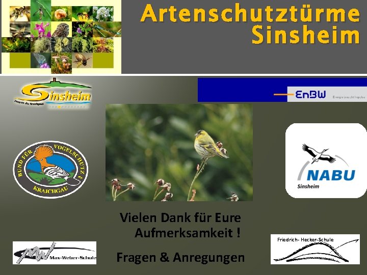 Artenschutz türme Sinsheim Vielen Dank für Eure Aufmerksamkeit ! Fragen & Anregungen Friedrich- Hecker-Schule