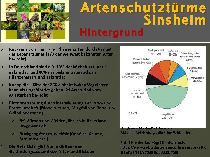 Artenschutz türme Sinsheim Hintergrund Ø Rückgang von Tier – und Pflanzenarten durch Verlust des