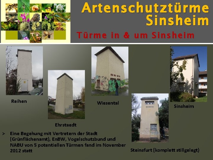 Artenschutz türme Sinsheim Türme in & um Sinsheim Reihen Wiesental Sinsheim Ehrstaedt Ø Eine