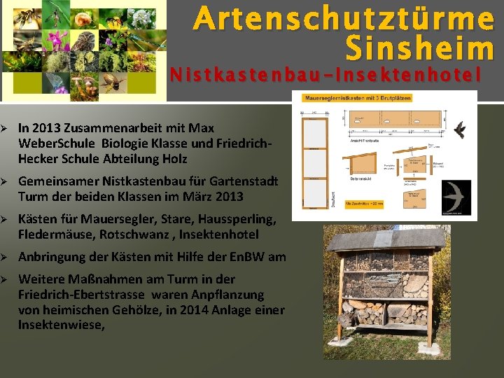 Artenschutz türme Sinsheim Nistkastenbau-Insektenhotel Ø In 2013 Zusammenarbeit mit Max Weber. Schule Biologie Klasse