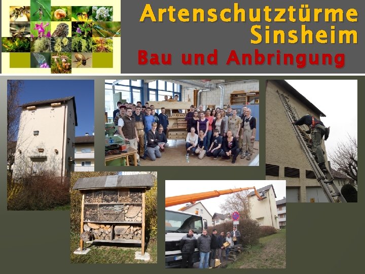 Artenschutz türme Sinsheim Bau und Anbringung 