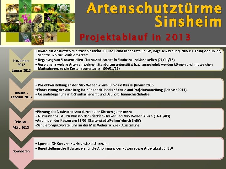 Artenschutz türme Sinsheim Projektablauf in 2013 November 2012 Januar 2013 Januar Februar 2013 Februar