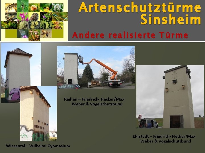 Artenschutz türme Sinsheim Andere realisierte Türme Reihen – Friedrich- Hecker/Max Weber & Vogelschutzbund Wiesental