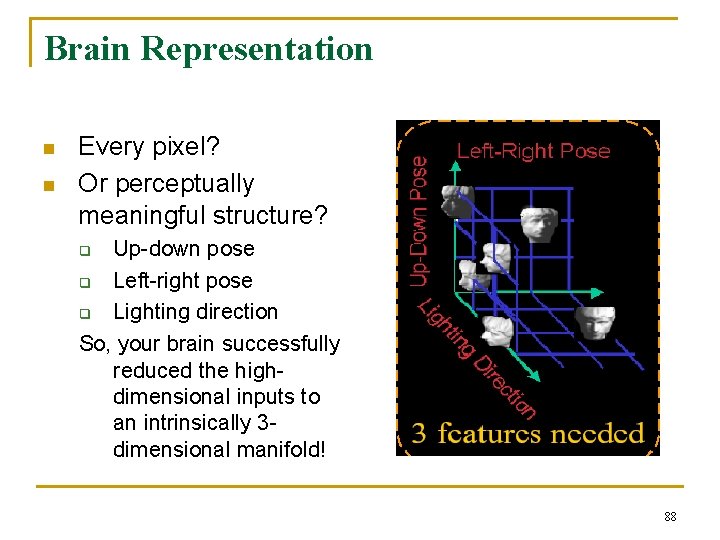 Brain Representation n n Every pixel? Or perceptually meaningful structure? Up-down pose q Left-right