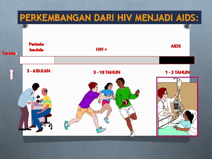 PERKEMBANGAN DARI HIV MENJADI AIDS: Tertular Periode Jendela 3 - 6 BULAN HIV +