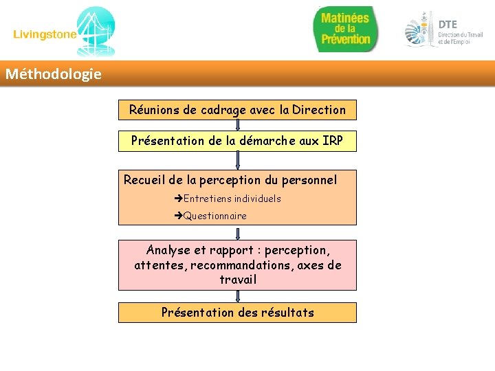 Méthodologie Réunions de cadrage avec la Direction Présentation de la démarche aux IRP Recueil