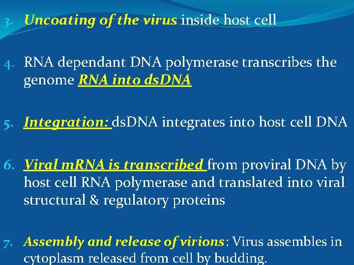 3. Uncoating of the virus inside host cell 4. RNA dependant DNA polymerase transcribes