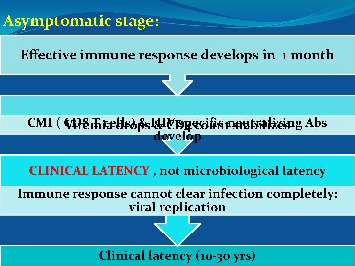 Asymptomatic stage: Effective immune response develops in 1 month CMI ( CD 8 T