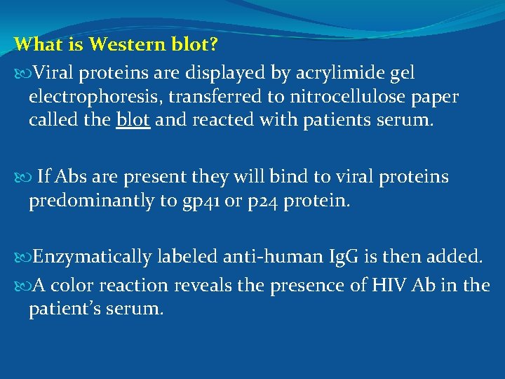 What is Western blot? Viral proteins are displayed by acrylimide gel electrophoresis, transferred to
