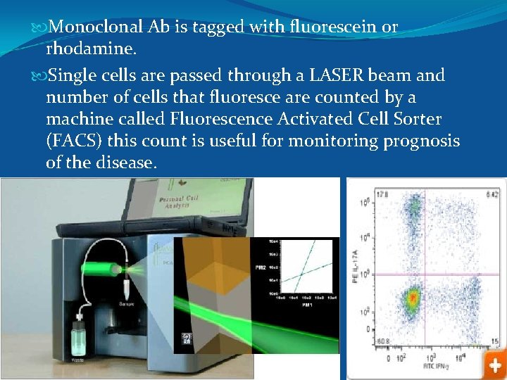  Monoclonal Ab is tagged with fluorescein or rhodamine. Single cells are passed through