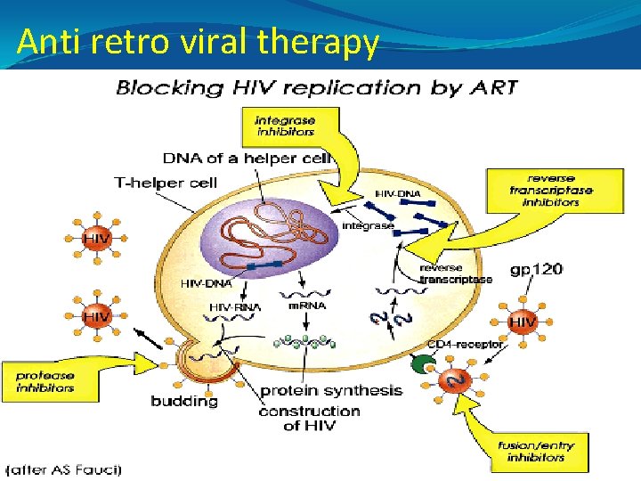 Anti retro viral therapy 