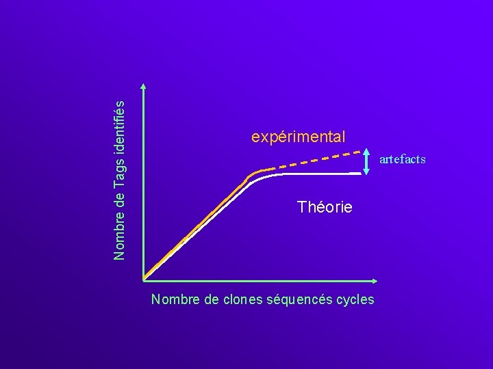 Nombre de Tags identifiés expérimental artefacts Théorie Nombre de clones séquencés cycles 