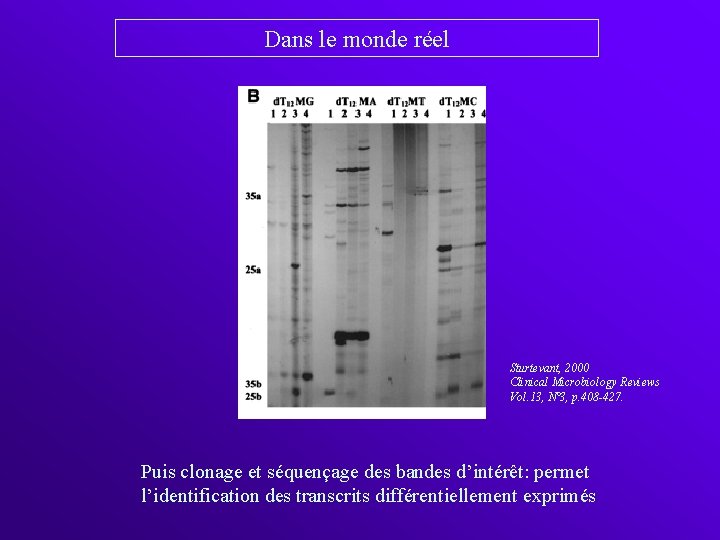 Dans le monde réel Sturtevant, 2000 Clinical Microbiology Reviews Vol. 13, N° 3, p.