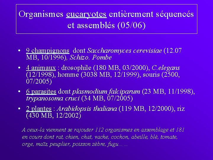 Organismes eucaryotes entièrement séquencés et assemblés (05/06) • 9 champignons dont Saccharomyces cerevisiae (12.