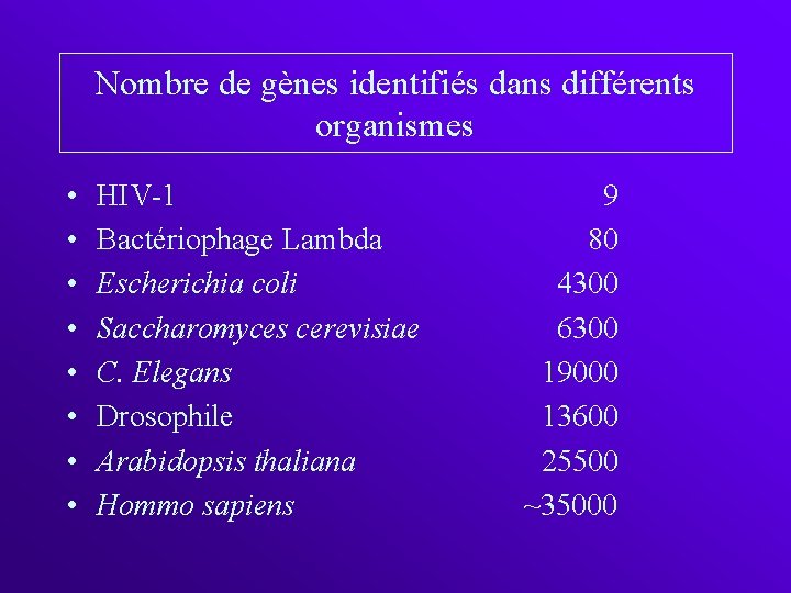 Nombre de gènes identifiés dans différents organismes • • HIV-1 Bactériophage Lambda Escherichia coli
