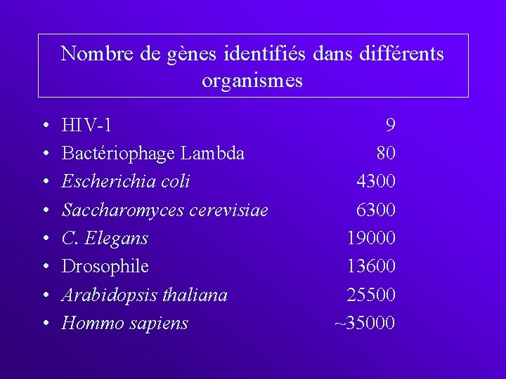 Nombre de gènes identifiés dans différents organismes • • HIV-1 Bactériophage Lambda Escherichia coli