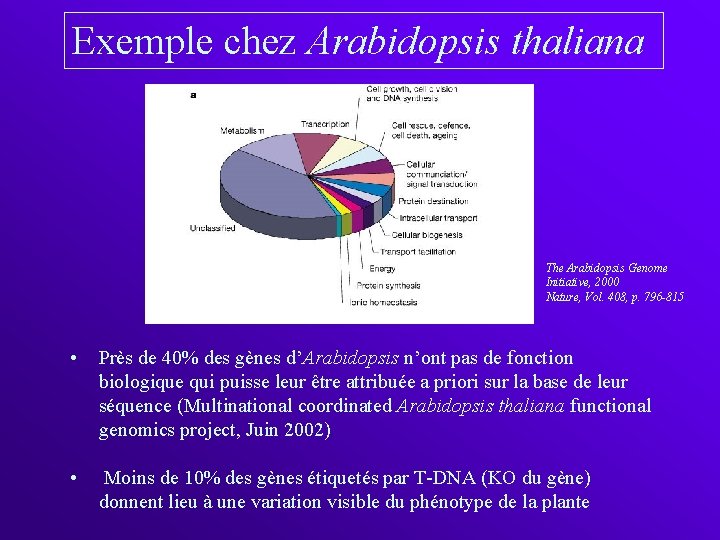 Exemple chez Arabidopsis thaliana The Arabidopsis Genome Initiative, 2000 Nature, Vol. 408, p. 796