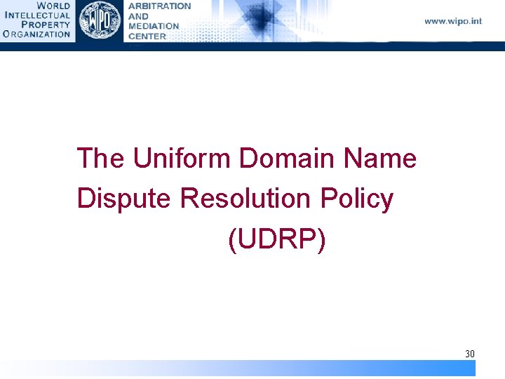 The Uniform Domain Name Dispute Resolution Policy (UDRP) 30 