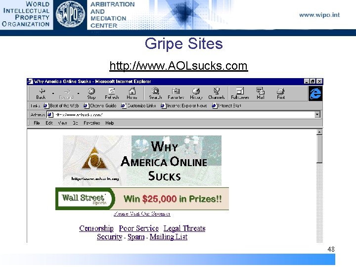 Gripe Sites http: //www. AOLsucks. com 48 