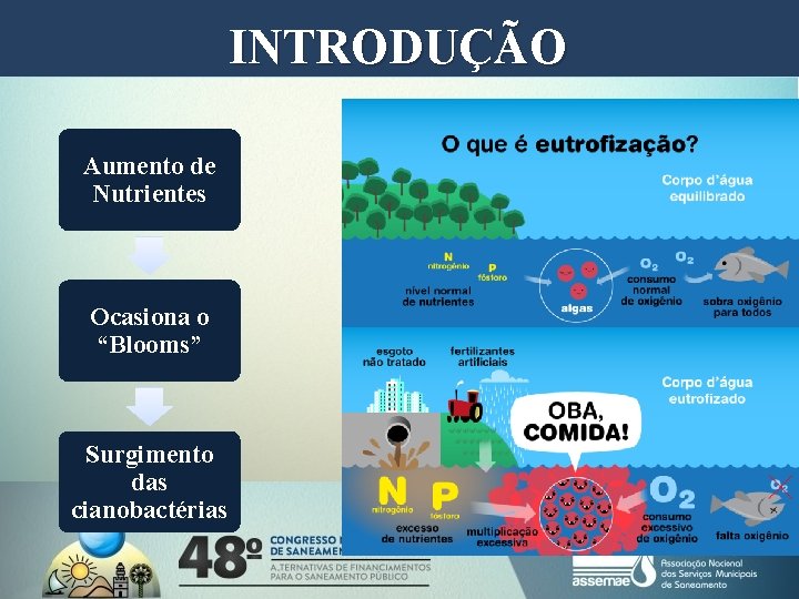 INTRODUÇÃO Aumento de Nutrientes Ocasiona o “Blooms” Surgimento das cianobactérias INTRODUÇÃO Aumento de Nutrientes Ocasiona o “Blooms” Surgimento das cianobactérias