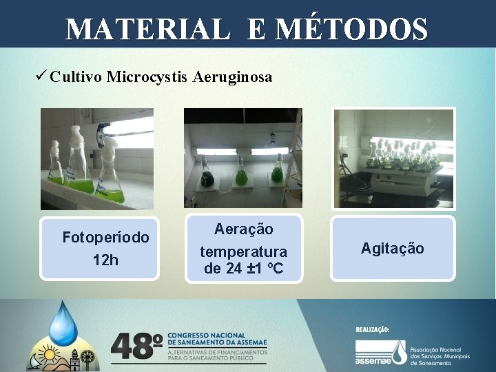 MATERIAL E MÉTODOS ü Cultivo Microcystis Aeruginosa Fotoperíodo 12 h Aeração temperatura de 24 MATERIAL E MÉTODOS ü Cultivo Microcystis Aeruginosa Fotoperíodo 12 h Aeração temperatura de 24