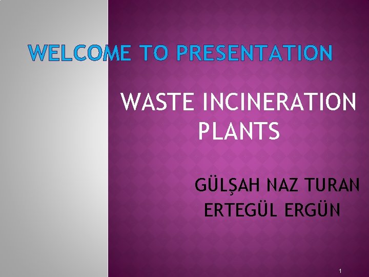 WELCOME TO PRESENTATION WASTE INCINERATION PLANTS GÜLŞAH NAZ TURAN ERTEGÜL ERGÜN 1 