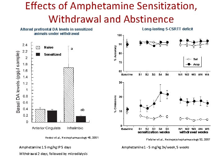 Effects of Amphetamine Sensitization, Withdrawal and Abstinence Altered prefrontal DA levels in sensitized animals