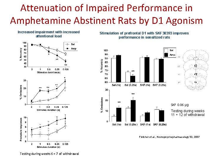 Attenuation of Impaired Performance in Amphetamine Abstinent Rats by D 1 Agonism Increased impairment