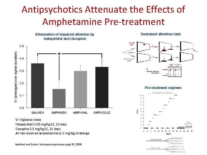 Antipsychotics Attenuate the Effects of Amphetamine Pre-treatment Attenuation of impaired attention by haloperidol and