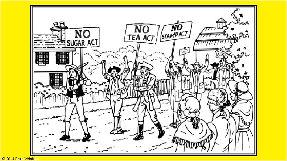 © 2014 Brain Wrinkles © 2014 Brain Wrinkles