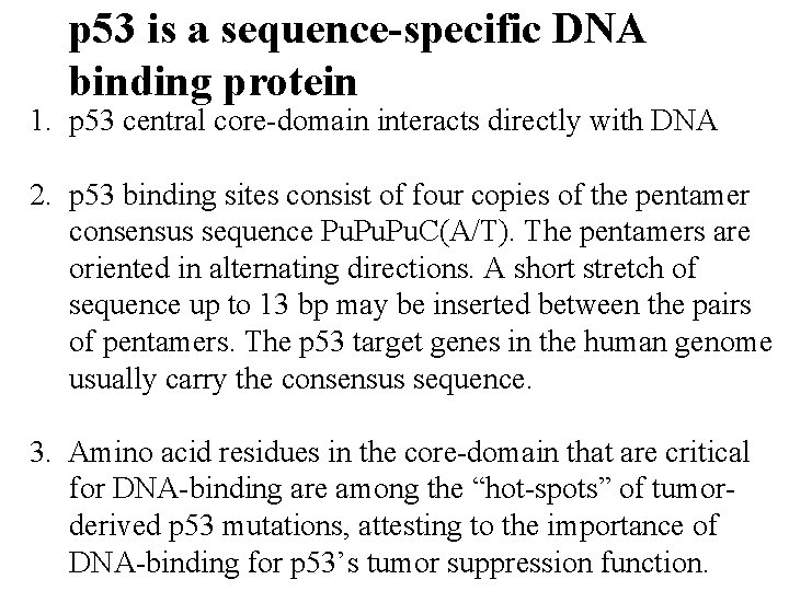 p 53 is a sequence-specific DNA binding protein 1. p 53 central core-domain interacts