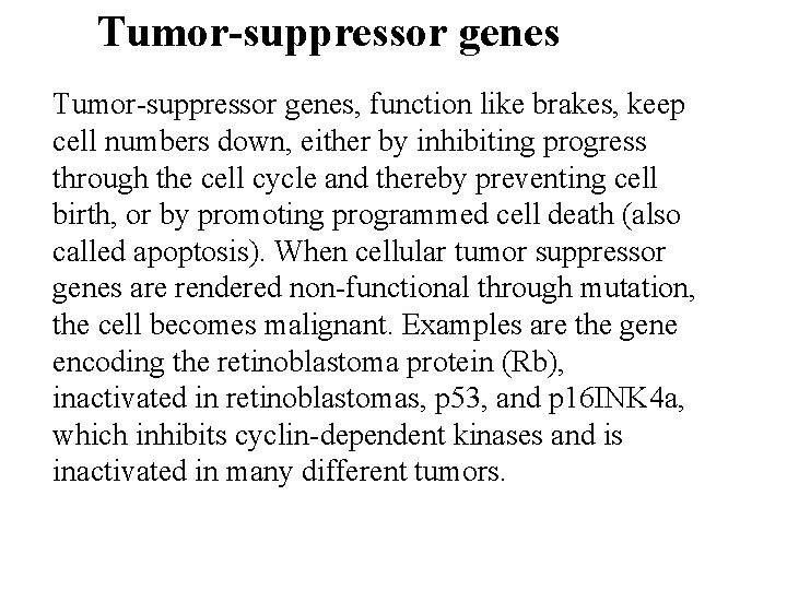 Tumor-suppressor genes, function like brakes, keep cell numbers down, either by inhibiting progress through