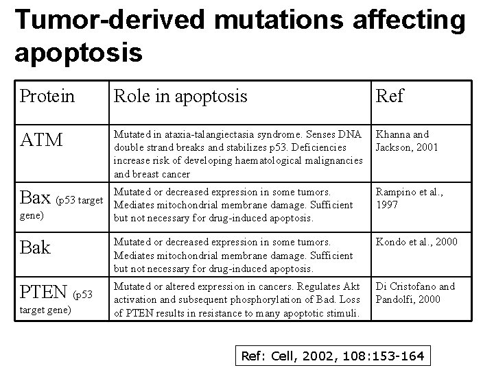 Tumor-derived mutations affecting apoptosis Protein Role in apoptosis ATM Mutated in ataxia-talangiectasia syndrome. Senses