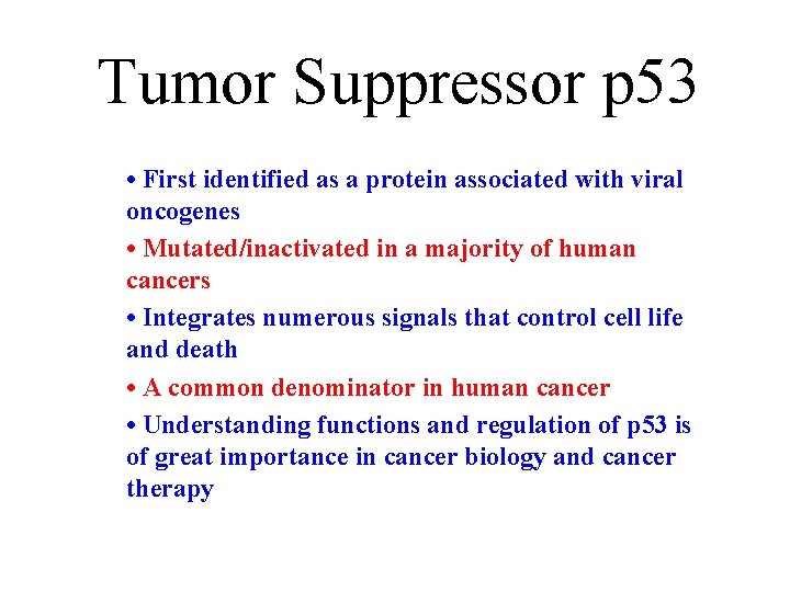 Tumor Suppressor p 53 • First identified as a protein associated with viral oncogenes
