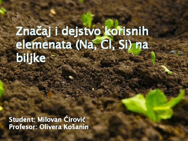 Značaj i dejstvo korisnih elemenata (Na, Cl, Si) na biljke Student: Milovan Ćirović Profesor: