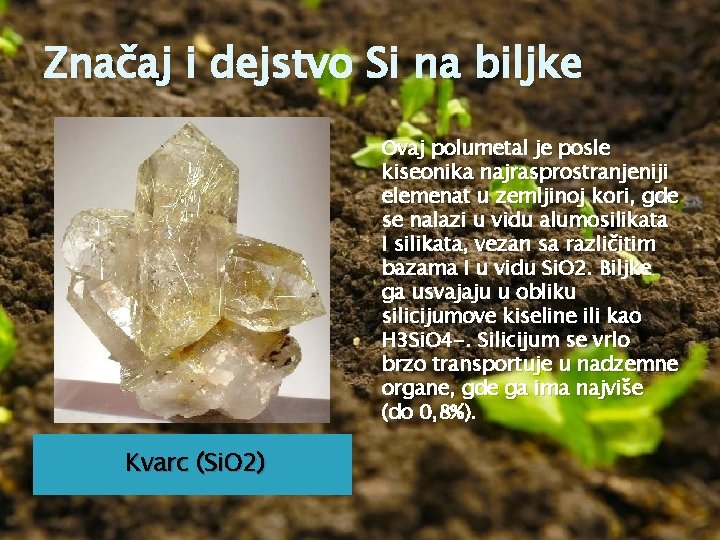 Značaj i dejstvo Si na biljke Ovaj polumetal je posle kiseonika najrasprostranjeniji elemenat u