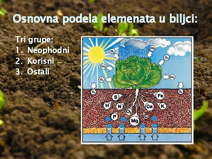 Osnovna podela elemenata u biljci: Tri grupe: 1. Neophodni 2. Korisni 3. Ostali 