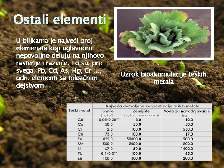 Ostali elementi U biljkama je najveći broj elemenata koji uglavnom nepovoljno deluju na njihovo