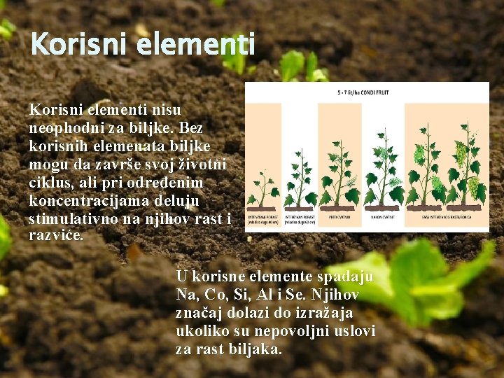 Korisni elementi nisu neophodni za biljke. Bez korisnih elemenata biljke mogu da završe svoj