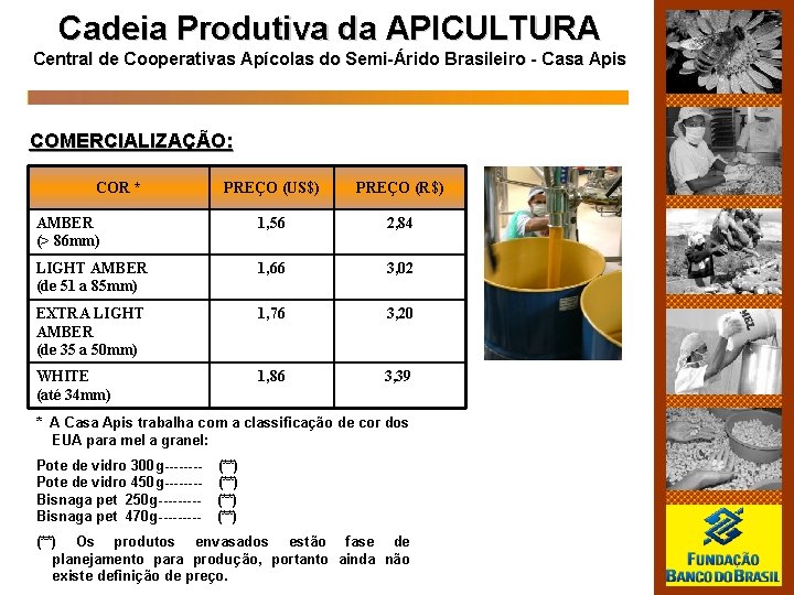 Cadeia Produtiva da APICULTURA Central de Cooperativas Apícolas do Semi-Árido Brasileiro - Casa Apis